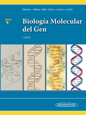 BIOLOGÍA MOLECULAR DEL GEN. 7ª ED.