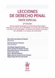 LECCIONES DE DERECHO PENAL. PARTE ESPECIAL. 3ª ED.