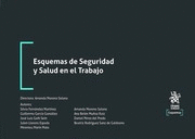 ESQUEMAS DE SEGURIDAD Y SALUD EN EL TRABAJO