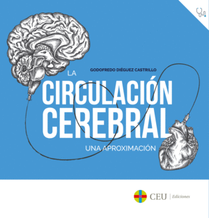 LA CIRCULACIÓN CEREBRAL
