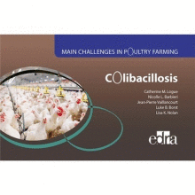 MAIN CHALLENGES IN POULTRY FARMING. COLIBACILLOSIS