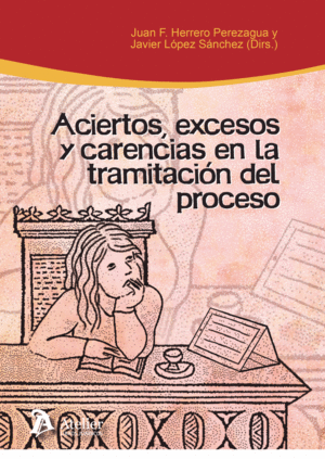 ACIERTOS, EXCESOS Y CARENCIAS EN LA TRAMITACIÓN DEL PROCESO