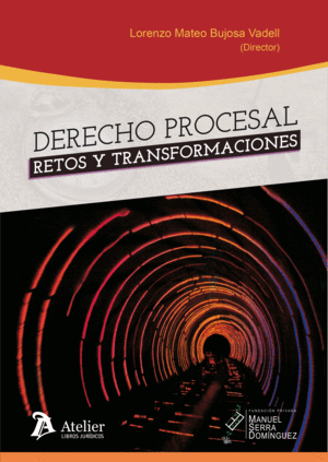 DERECHO PROCESAL: RETOS Y TRANSFORMACIONES