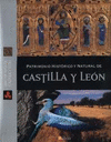 PATRIMONIO HISTÓRICO Y NATURAL DE CASTILLA Y LEÓN: LIBRO DE PLATA DE CASTILA Y LEÓN