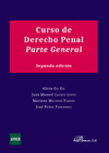 CURSO DE DERECHO PENAL. PARTE GENERAL. 2ª ED.