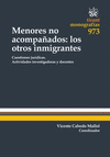 MENORES NO ACOMPAÑADOS: LOS OTROS INMIGRANTES