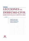 LECCIONES DE DERECHO CIVIL. DERECHOS REALES E HIPOTECARIO. 2ª ED