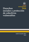 DERECHOS SOCIALES Y PROTECCIÓN DE COLECTIVOS VULNERABLES