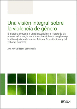UNA VISIÓN INTEGRAL SOBRE LA VIOLENCIA GÉNERO