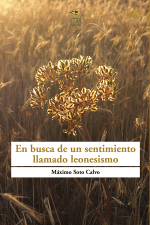 EN BUSCA DE UN SENTIMIENTO LLAMADO LEONESISMO