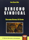 DERECHO SINDICAL. CUESTIONES ACTUALES EN ESPAÑA. 2ª ED