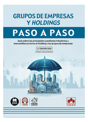 GRUPOS DE EMPRESAS Y HOLDINGS. PASO A PASO