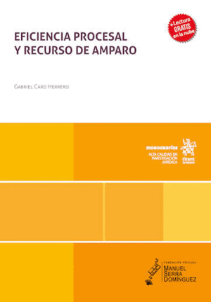 EFICIENCIA PROCESAL Y RECURSO DE AMPARO
