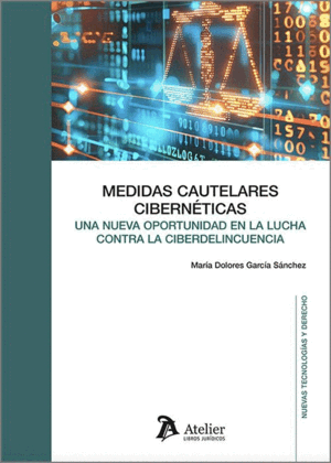 MEDIDAS CAUTELARES CIBERNÉTICAS