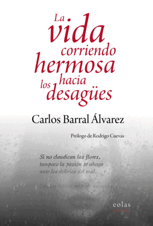 LA VIDA CORRIENDO HERMOSA HACIA LOS DESAGÜES