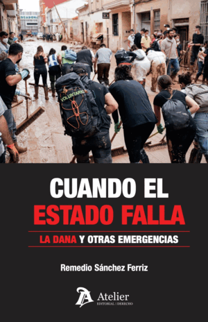 CUANDO EL ESTADO FALLA