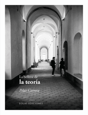 LA BELLEZA DE LA TEORÍA