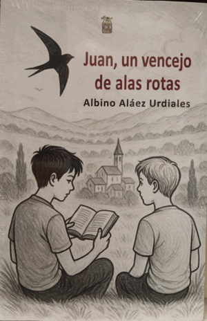 JUAN, UN VENCEJO DE LAS ALAS ROTAS